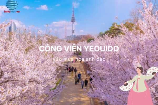 Vẻ đẹp của mùa hoa anh đào công viên Yeouido Hàn Quốc