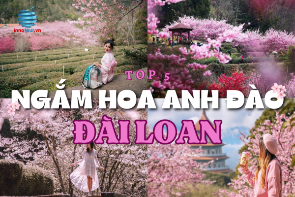 Top 5 điểm đến ngắm hoa anh đào đẹp nhất Đài Loan mà bạn không thể bỏ qua