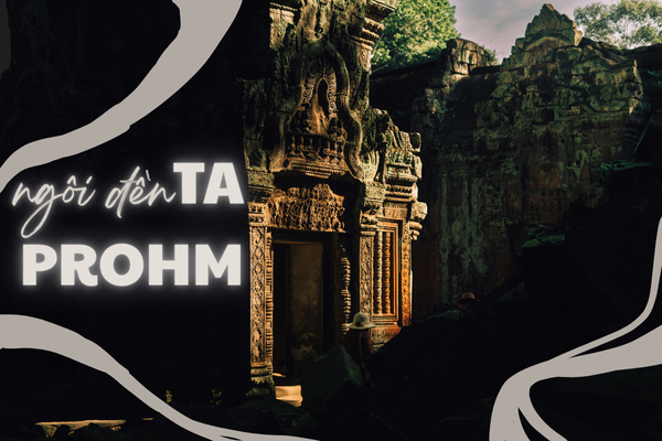 Đền Ta Prohm - Kỳ quan bị thiên nhiên “nuốt chửng” giữa rừng già Angkor