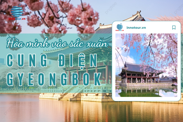 Cung điện Gyeongbok - Hòa mình vào sắc xuân rực rỡ dưới tán hoa anh đào