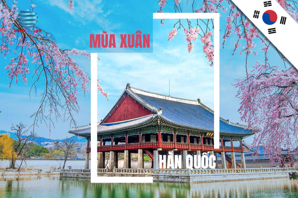 Mùa Xuân Ở Hàn Quốc - Lý Do Vì Sao Bạn Không Nên Bỏ Lỡ Chuyến Đi Này