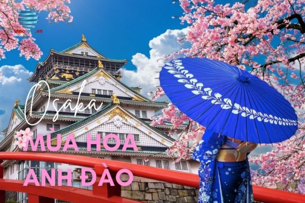 Mùa hoa anh đào tại lâu đài Osaka - Khung trời mộng mơ giữa lòng Nhật Bản