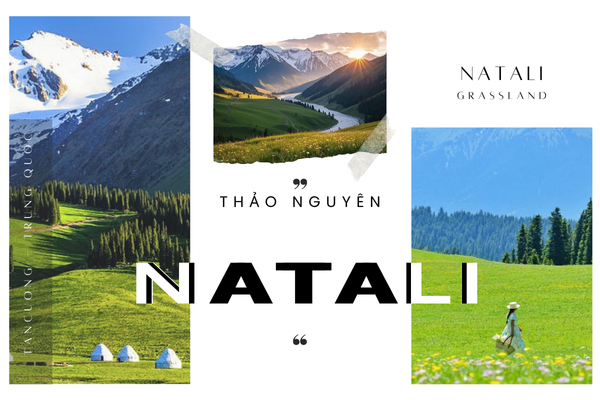 Thảo nguyên Nalati Tân Cương: Viên ngọc xanh giữa vùng biên viễn