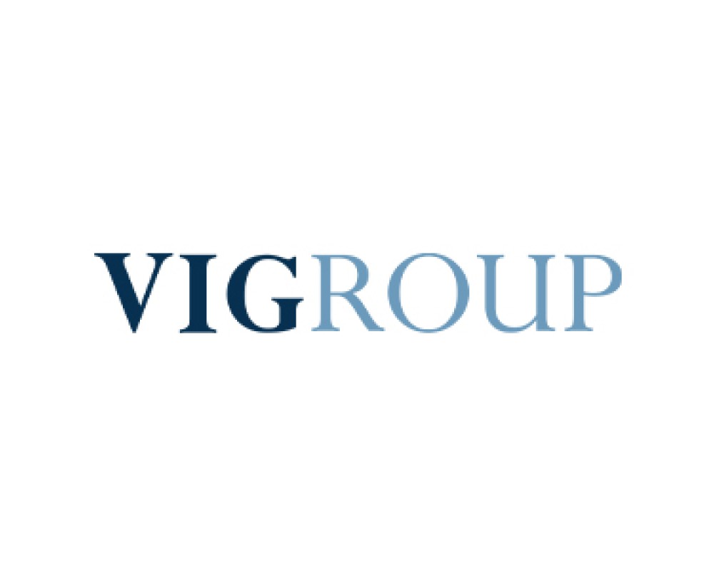VIGroup