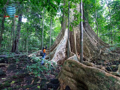 Tour Đoàn - Vườn quốc gia Nam Cát Tiên - Lắng nghe âm vang núi rừng