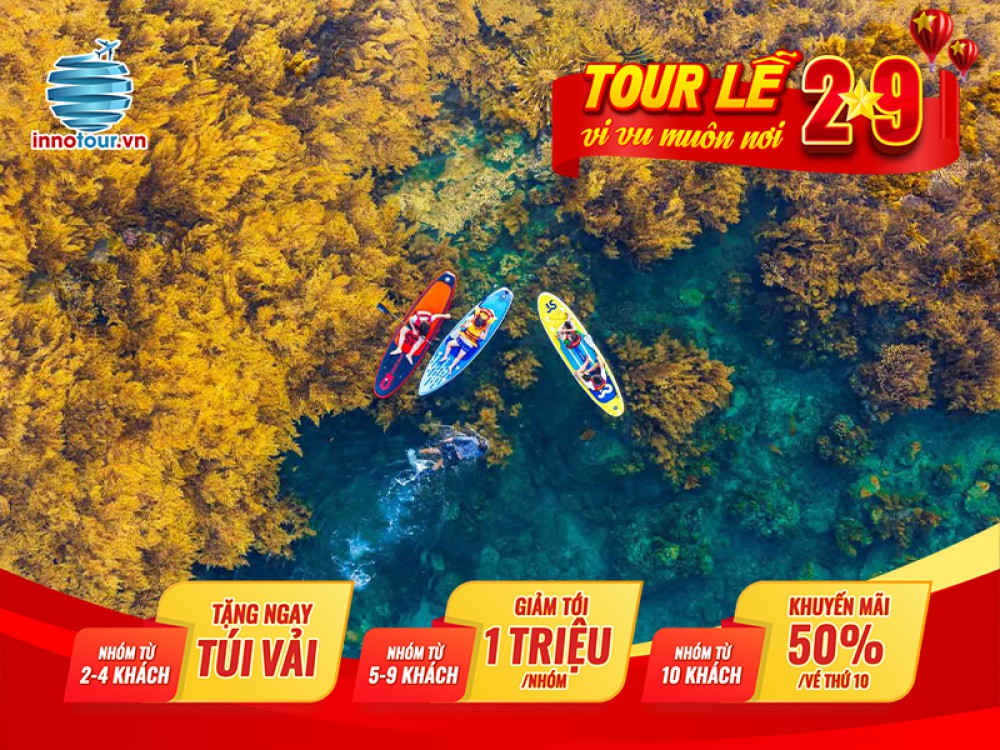 Tour Lễ 2/9: Tour Quy Nhơn 3 ngày 3 đêm - Khám phá cánh đồng dưới lòng đại dương 