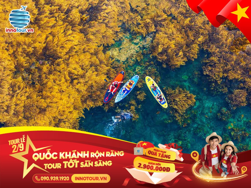 Tour Lễ 2/9: Tour Quy Nhơn - Phú Yên 3N3Đ - Hòn Khô - Kỳ Co - Eo Gió - Gành Đá Đĩa - Mũi Điện