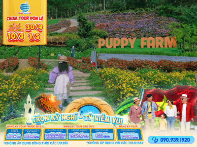 Tour Lễ 30/4 & Giỗ tổ Hùng Vương: Tour Đà Lạt 3N3Đ - Suối Mơ - Cao Nguyên Hoa - Săn Mây Cầu Đất - Nhà thờ Don Bosco - Buffet Rau Đặc Sản - Puppy Farm