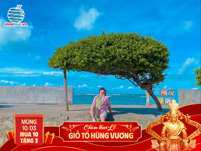 Tour Lễ Giỗ tổ Hùng Vương - Tour Phú Quý 3 ngày 2 đêm - Hòn Tranh - Bãi Nhỏ - Gành Hang - Chùa Linh Sơn 