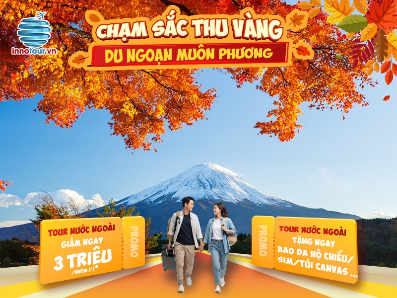 Tour Nhật Bản 5N5Đ - Osaka - Nara - Kyoto - Nagoya - Yamanashi - Tokyo - Thưởng thức Maiko Show