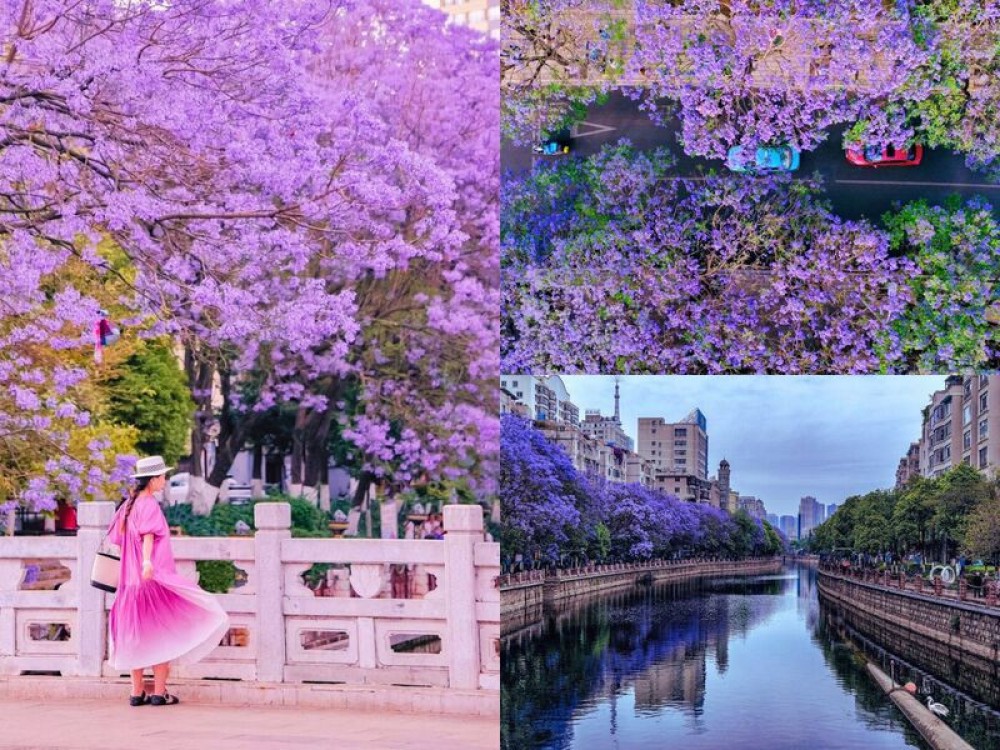 Tour Côn Minh - Y Lương - Kiến Thuỷ - Di Lạc 5N4Đ (No Shop)