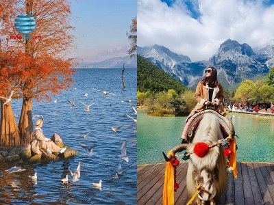 Tour Lệ Giang - Shangrila 5N4Đ - Núi Tuyết Ngọc Long - Khe Hổ Nhảy (No Shopping)