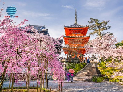 Tour Nhật Bản mùa hoa anh đào 5N4Đ