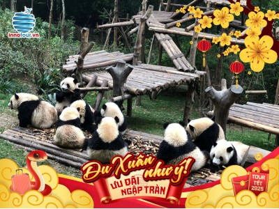 Tour Tết 2025 - Tour Trùng Khánh - Thành Đô - Cửu Trại Câu - Nga Mi - Lạc Sơn 7 ngày 7 đêm