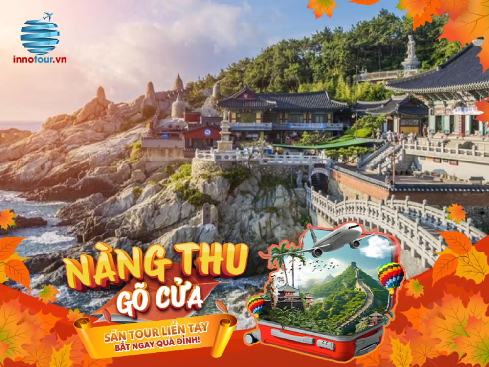 Tour Hàn Quốc - Busan – Daegu - Seoul - 6N5Đ