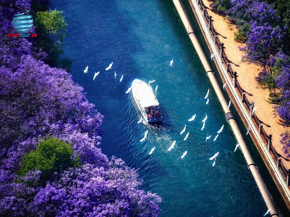 Tour Côn Minh - Mùa hoa phượng tím - Trải nghiệm trượt tuyết - NO SHOPPING