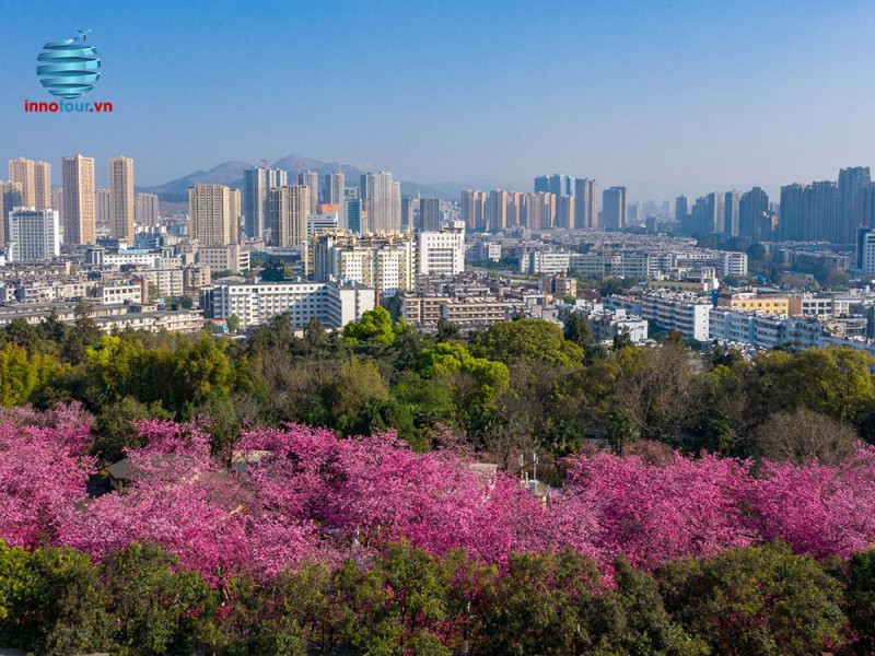 Tour Côn Minh - Viên Thông Sơn - Đại Quan Lầu 4N3Đ -  NOSHOP