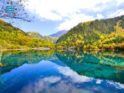 Tour Thành Đô - Trùng Khánh - Cửu Trại Câu - Hồng Nhai Động - Công Viên Gấu Trúc - Đô Giang Yển 6N5D