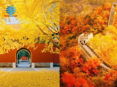 Tour Bắc Kinh - Trùng Khánh 5N4Đ - Hồng Nhai Động - Tử Cấm Thành - Di Hoà Viên