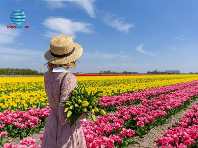 Tour Châu Âu 5 Nước 10N9Đ - Đức - Thuỵ Sĩ - Luxembourg - Pháp - Hà Lan - Khám Phá Lễ hội Hoa Tulip