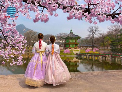 Tour Hàn Quốc Ngắm Hoa Anh Đào 5 ngày 4 đêm - Seoul - Đảo Nami - Everland