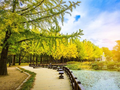 Tour Seoul - Trượt tuyết - Lotte World 5N5D - Đảo Nami 