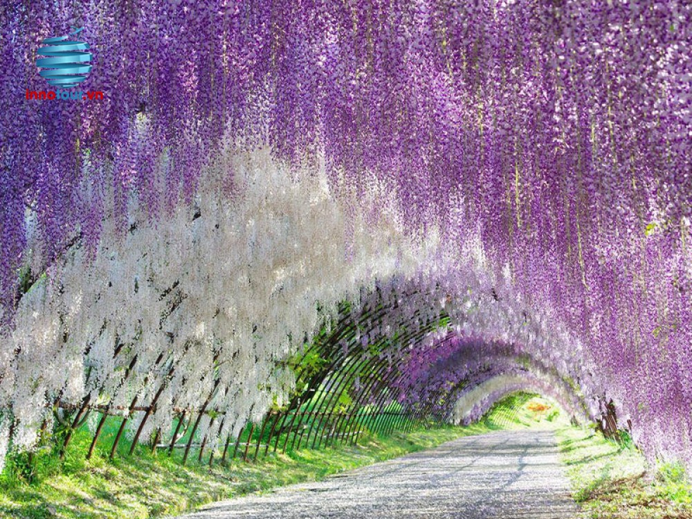 Tour Nhật Bản Hokkaido - Noboribetsu - Sapporo - Otaru - Tokyo