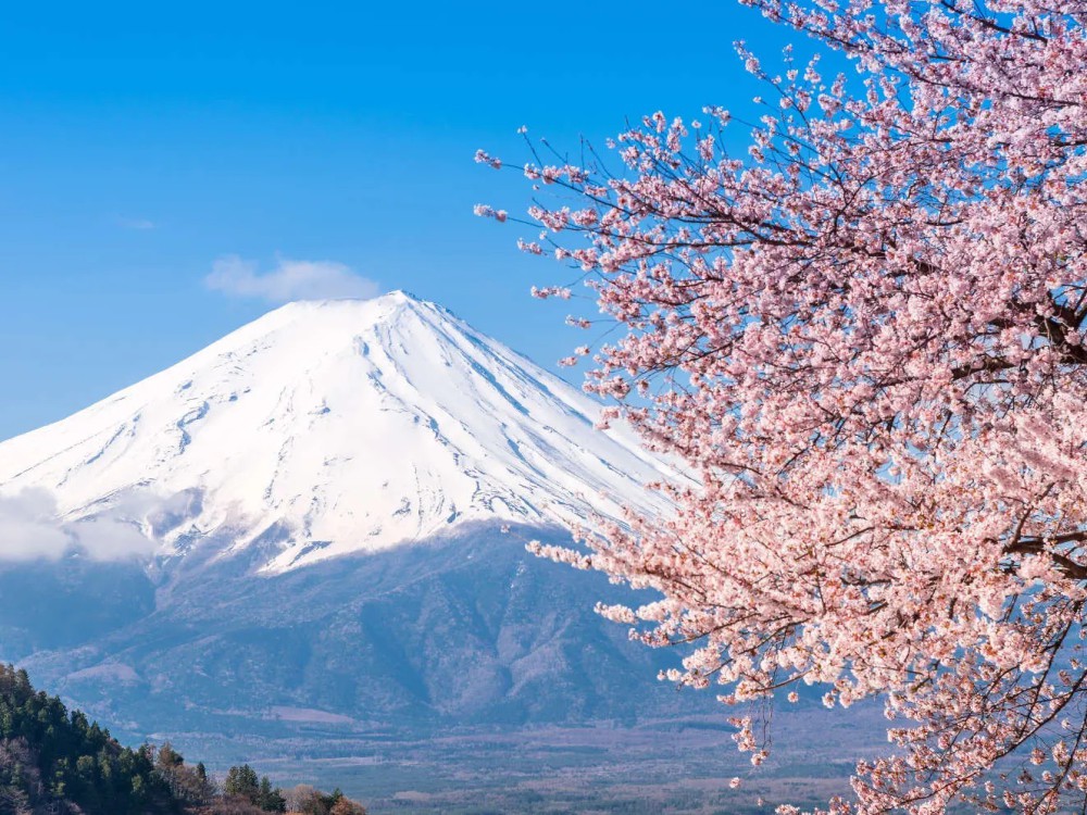 Tour Tokyo - Phú Sĩ - Narita Mùa đông Nhật Bản 5N4D