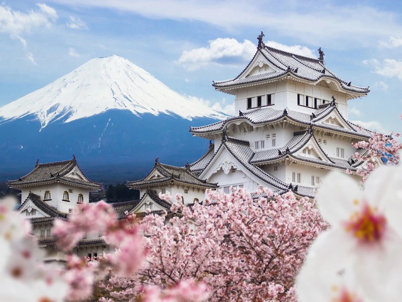 Tour Nhật Bản Mùa Hoa Anh Đào 5N5Đ: Osaka - Kyoto - Fuji - Tokyo - Narita