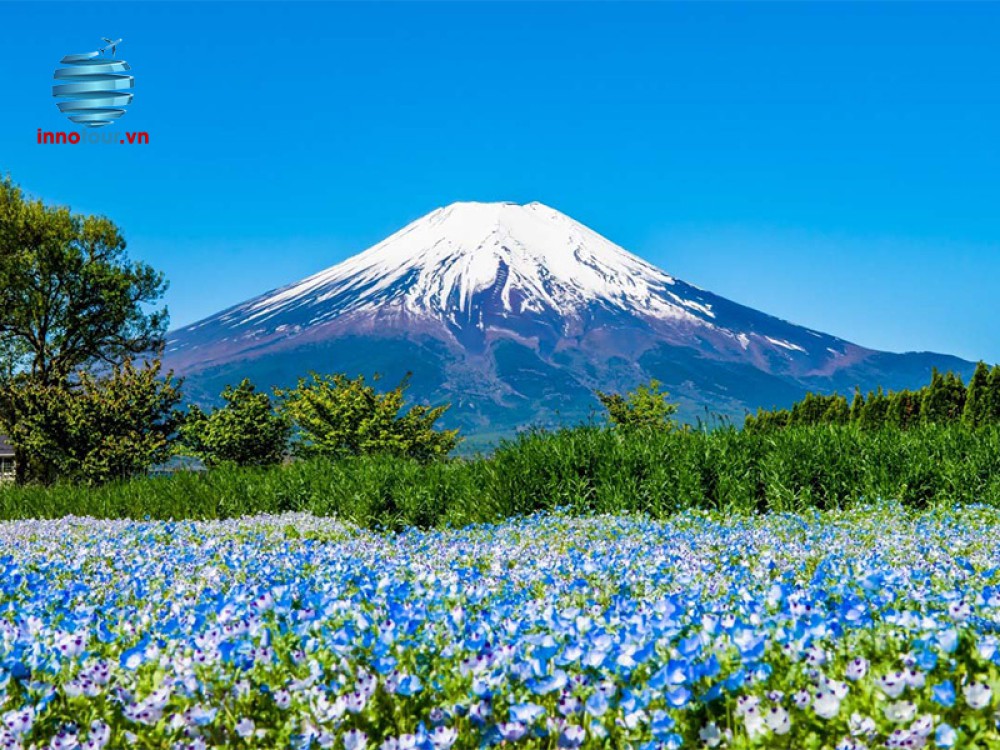 Tour Nhật Bản 5N5Đ - Osaka - Nara - Kyoto - Nagoya - Yamanashi - Tokyo