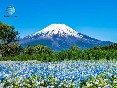 Tour Nhật Bản 5N5Đ - Osaka - Nara - Kyoto - Nagoya - Yamanashi - Tokyo