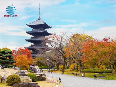 Tour Nhật Bản 5N5Đ - Osaka - Nara - Kyoto - Nagoya - Yamanashi - Tokyo - Thưởng thức Maiko Show