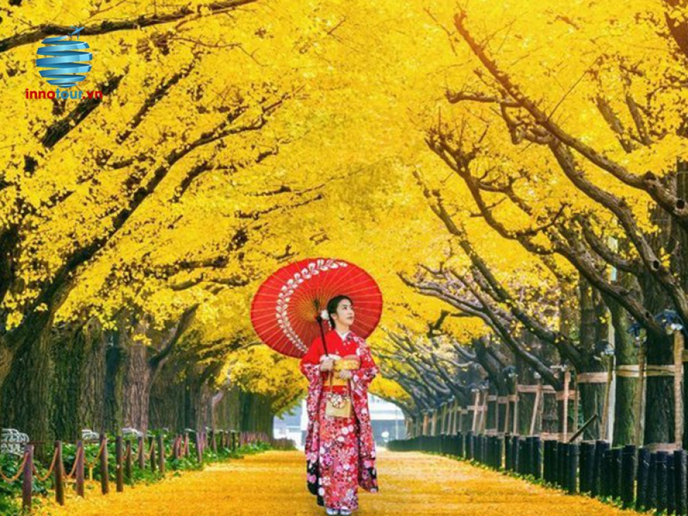 Tour Nhật Bản: Osaka - Nara - Kyoto - Yamanashi - Tokyo - Narita 5N5Đ - Khám phá cung đường vàng mùa thu (Bay VNA)