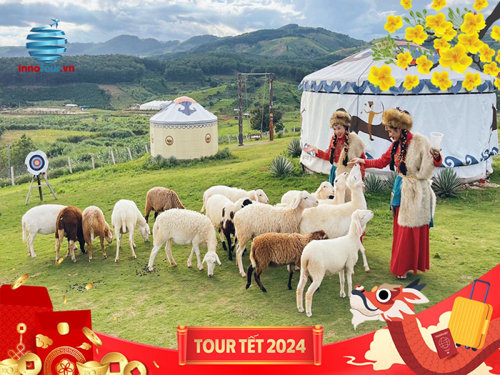 Tour Đà Lạt Tết 2024 - Thành Phố Bốn Mùa Hoa