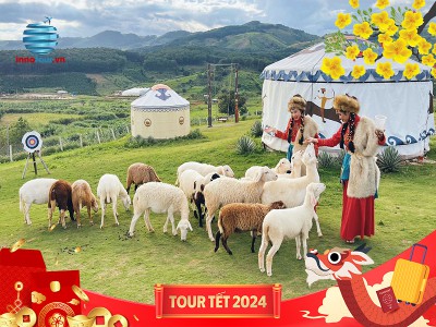 Tour Đà Lạt Tết 2024 - Thành Phố Bốn Mùa Hoa