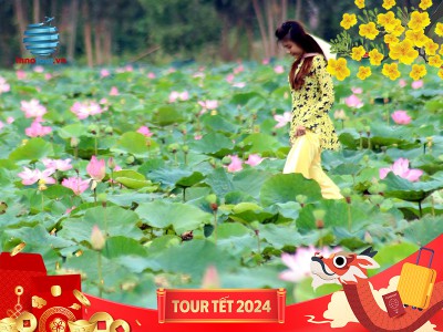 Tour Tết 2024 - Đồng Tháp - Cần Thơ