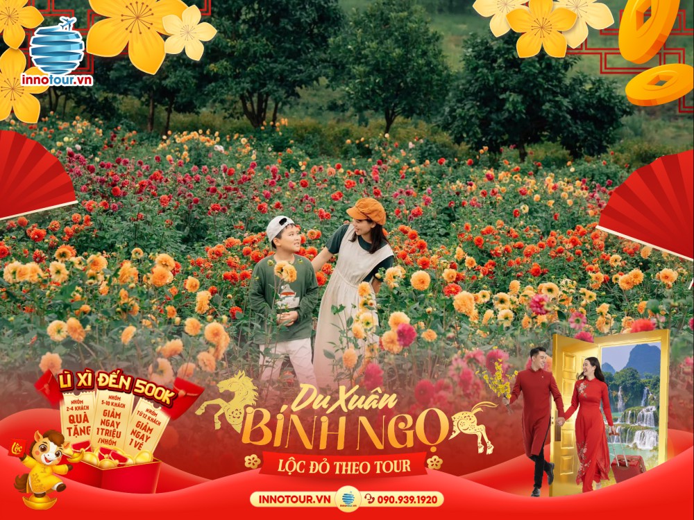 Tour Tết 2026 - Tour Đà Lạt 4N3Đ - Thung lũng Đèn - Hoàng Long Ohayo - Thung lũng các vị thần God Valley - Hoa Trong Rừng - Thác Bobla - Buffet Rau