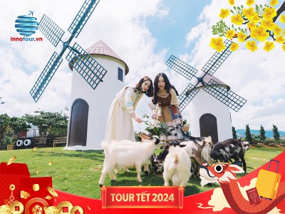 Tour Tết Dương Lịch 2024: Đà Lạt - Mongoland