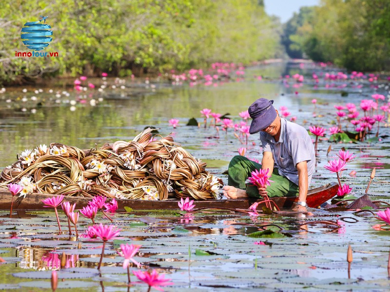 Tour Tết 2026 - Tour Châu Đốc - Cần Thơ 2N2Đ - Xuôi dòng sông Hậu viếng thăm miền Tây