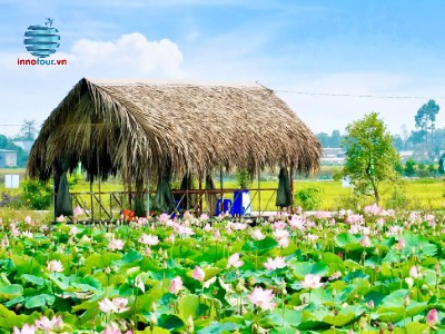 Tour Miền Tây mùa nước nổi: Tràm Chim - KDL Mỹ Phước Thành - Làng hoa Sa Đéc
