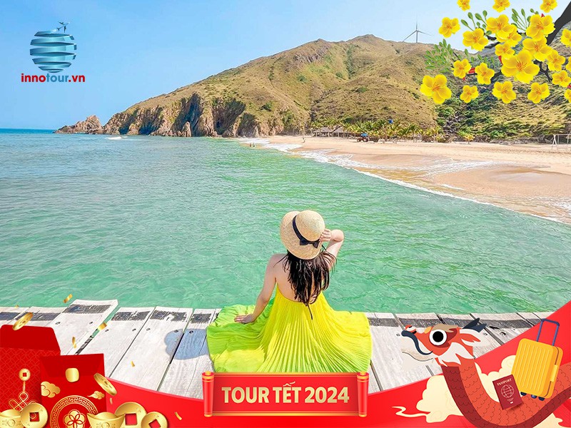 Tour Tết Nguyên Đán 2024: Quy Nhơn - Phú Yên - Hoa Vàng Trên Cỏ Xanh