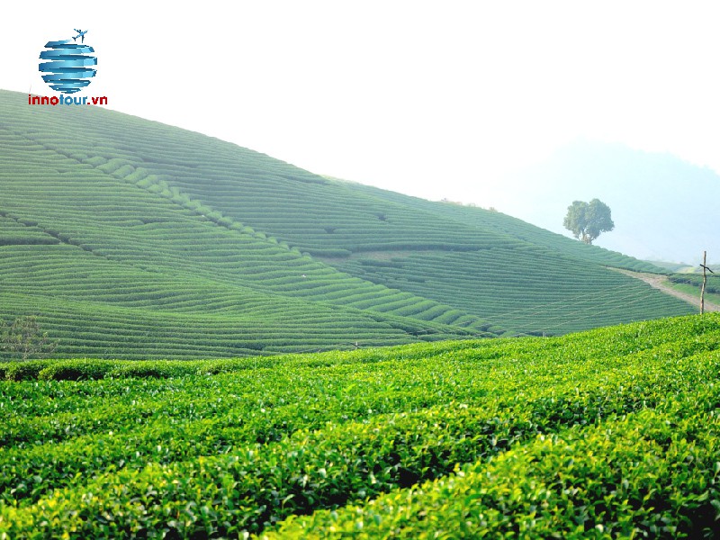 Tour Tà Đùng - KDL Top View - Thác Lưu Ly: Khám phá Tây Nguyên Xanh 2 ngày 2 đêm