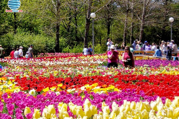 Ngay Đà Lạt cũng có Vườn hoa với hơn 300 loài hoa khoe sắc, không cần phải đi xa!