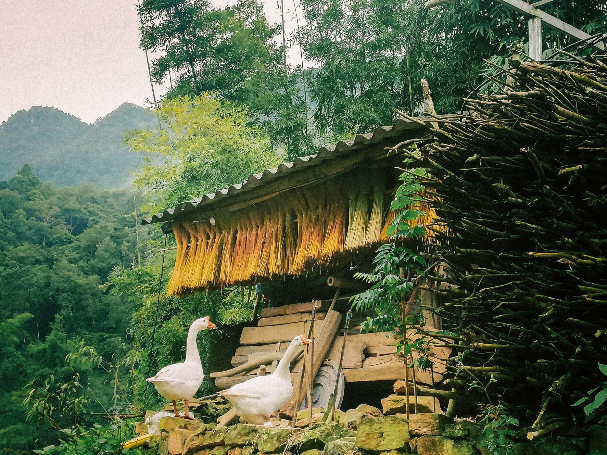 Làng cổ Thiên Hương Hà Giang